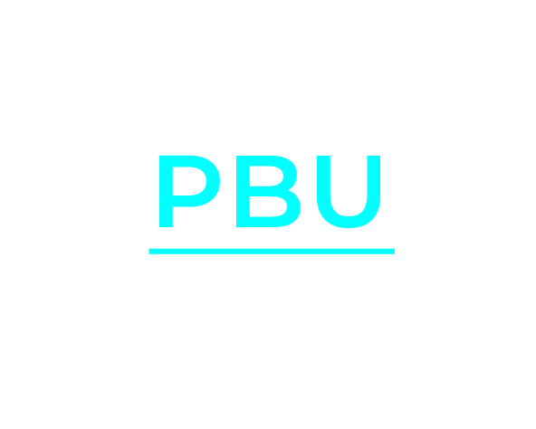 Podsumowanie realizacji Programu PBU 2014-2020 – raport z ewaluacji ex-post