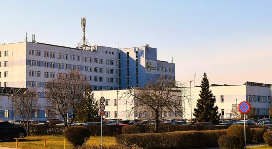 LEAN HEALTHCARE як інструмент покращення доступу до спеціалізованої медицини