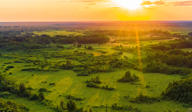 Основні положення Програми