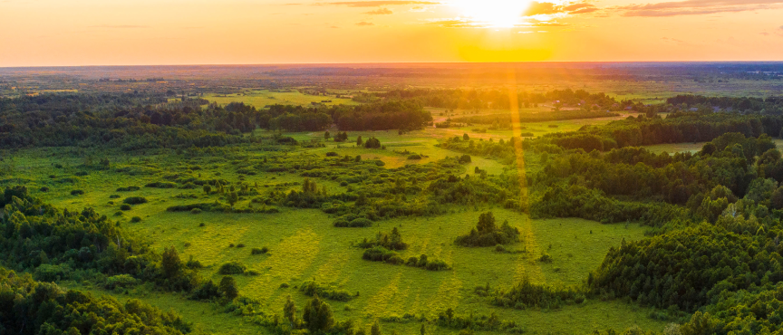 Основні положення Програми