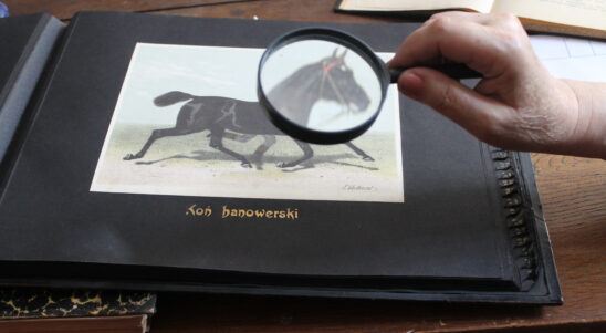 Inspiring PBU stories 4. For the Welfare of People and Animals – Lviv Veterinary School Reveals its Secrets
