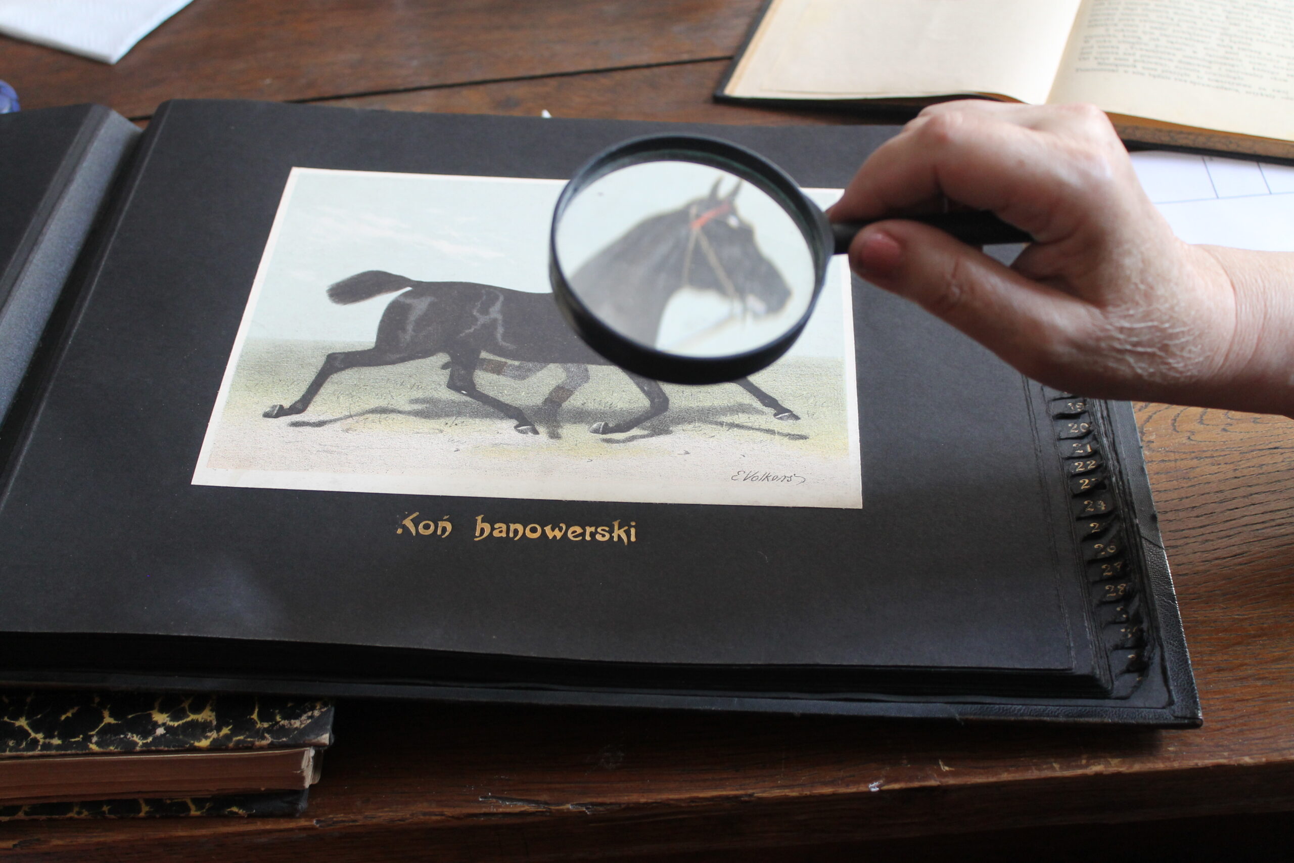 Inspiring PBU stories 4. For the Welfare of People and Animals – Lviv Veterinary School Reveals its Secrets