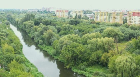 Дике життя у великому місті: захист і промоція дикої природи й біорізноманіття в Луцьку та Жешуві