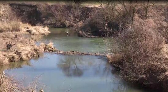Стартував ще один екологічний проєкт – WaterWatch