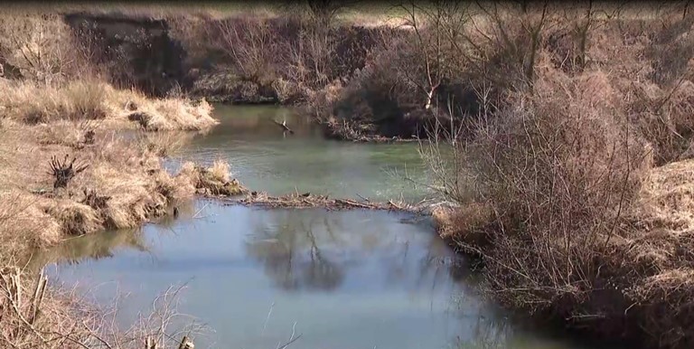 Стартував ще один екологічний проєкт – WaterWatch