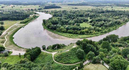 Clean Bug – joint activities of the Drohiczyn Commune and the Dobrotvir Town Council for protecting biodiversity of the Bug Valley