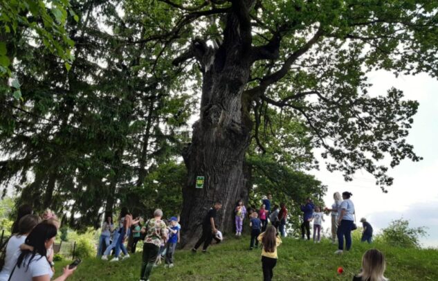  Eyewitnesses of Ancient Times