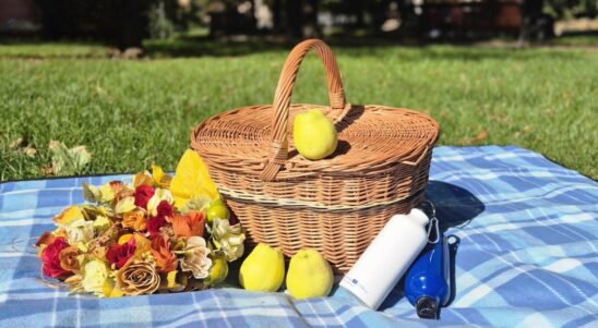 „Water Picnic” w Równem: Odkryj moc wody