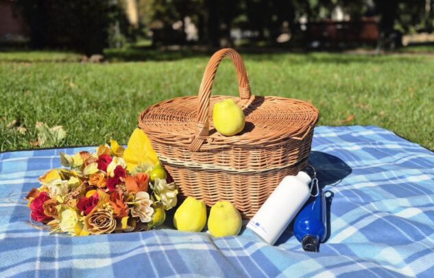  Water Picnic in Rivne: Discover the power of water