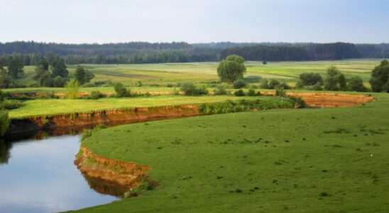 Winners of the “Discover the uniqueness of the PL–UA Programme regions” contest