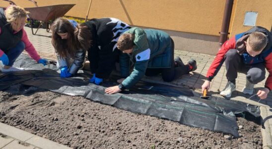 Наше подвір’я, епізод 2 «Шкільна клумба»