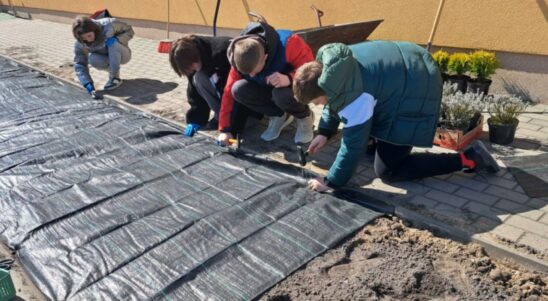 Our Backyard, Episode 2: ‘School Flower Bed’