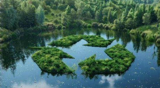 CrossEco: Unified Solutions for a Shared Environment