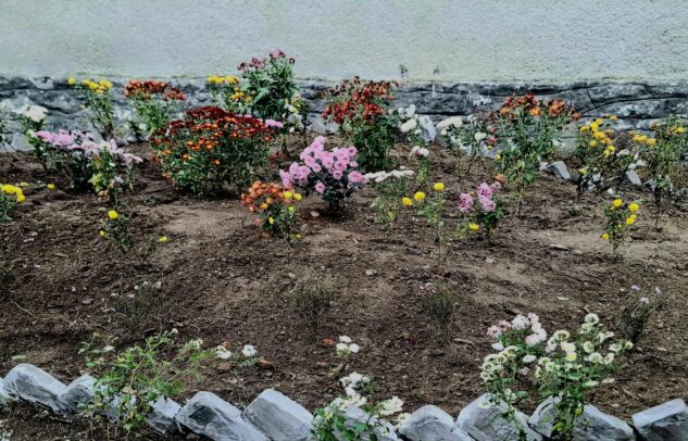  Наше подвір’я, епізод 1 «Квітковий рай»