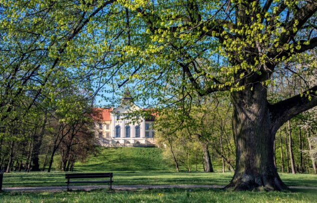  Two parks, one challenge