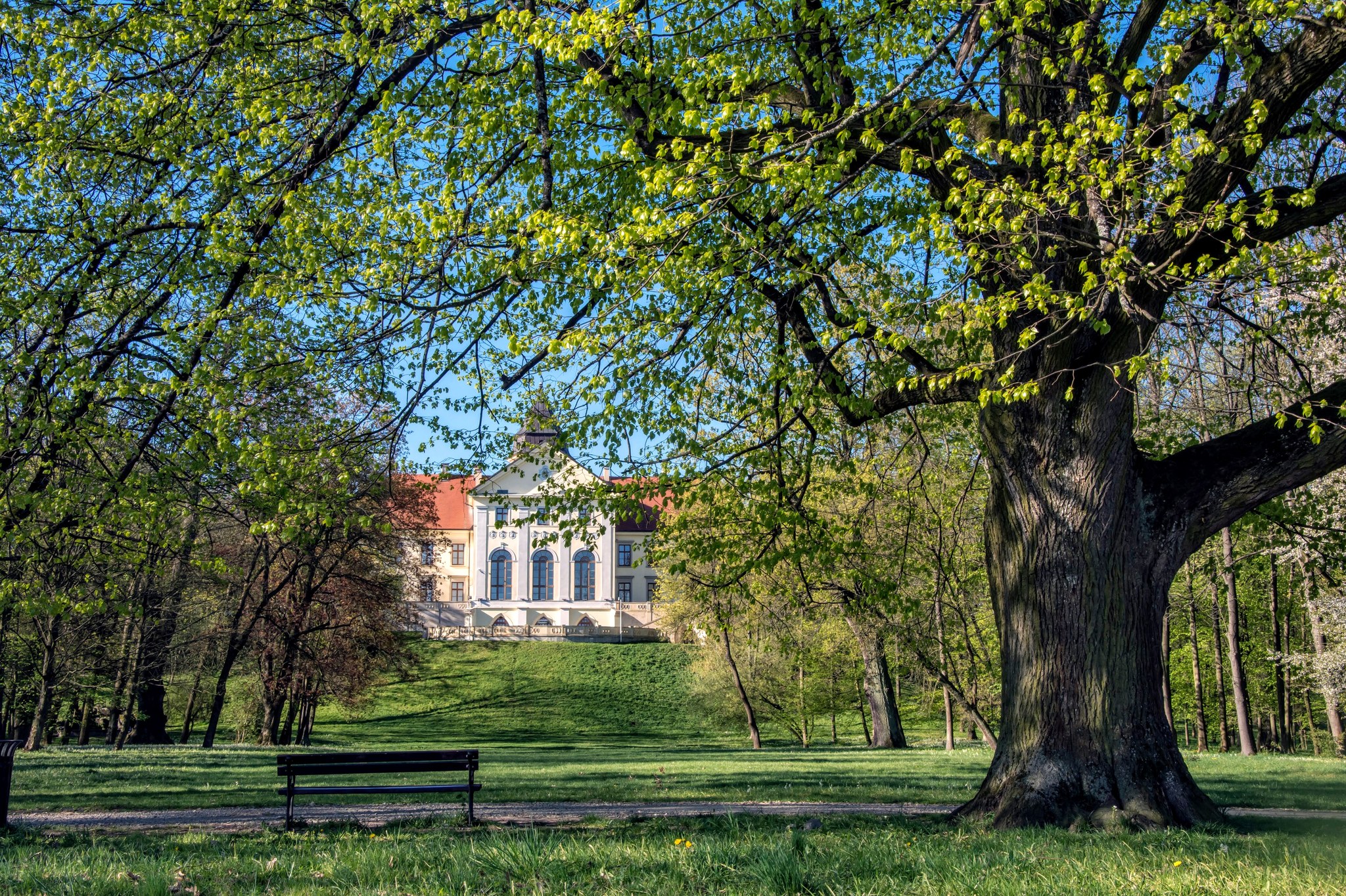 Два парки, спільний виклик