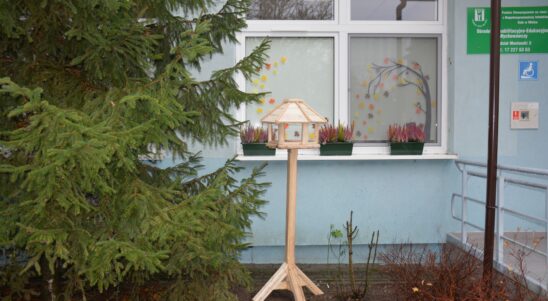 Our Backyard, Episode 6: ‘Our Backyard’