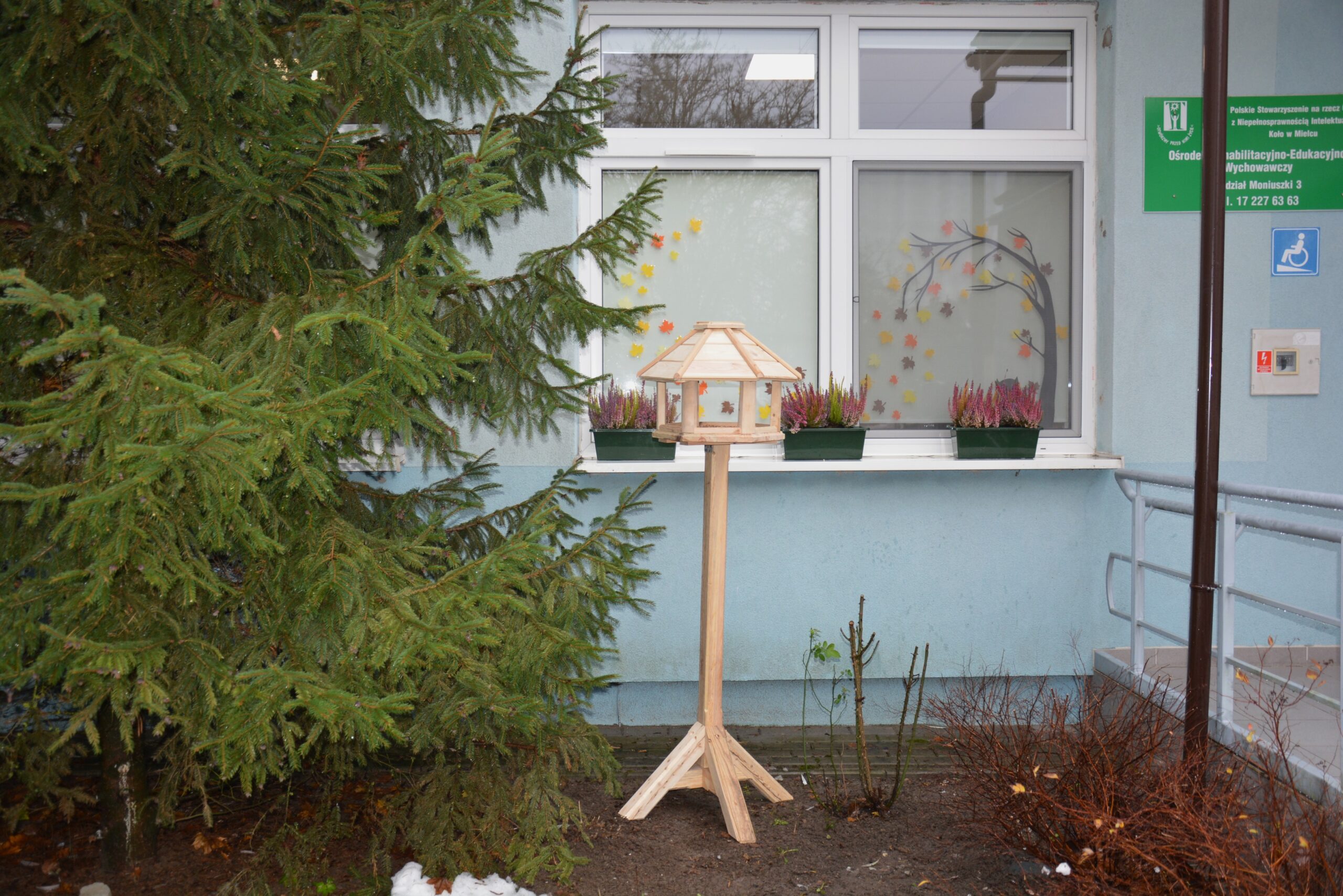 Our Backyard, Episode 6: ‘Our Backyard’