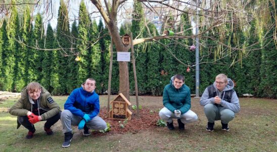 Our Backyard, Episode 7: ‘Under the Catalpa Tree’