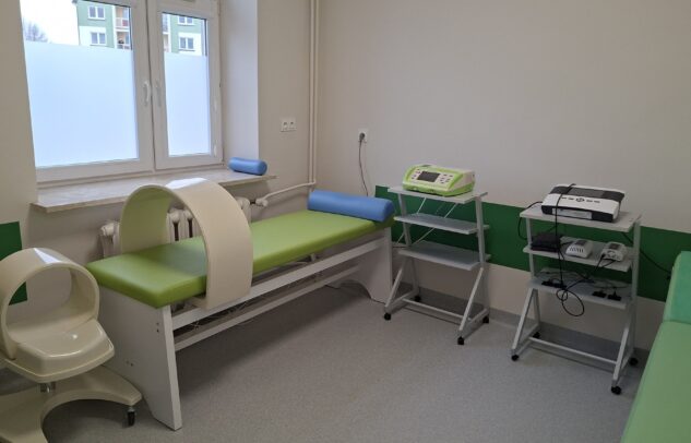  Rehabilitation across borders