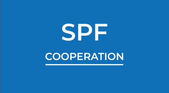 The 2nd call for small projects under the SPF COOPERATION