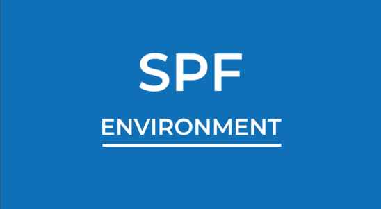Online consultations for applicants of the SPF ENVIRONMENT