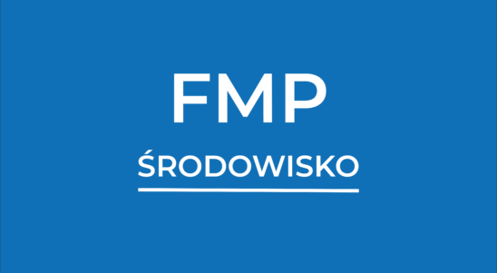 Konsultacje online dla wnioskodawców FMP ŚRODOWISKO
