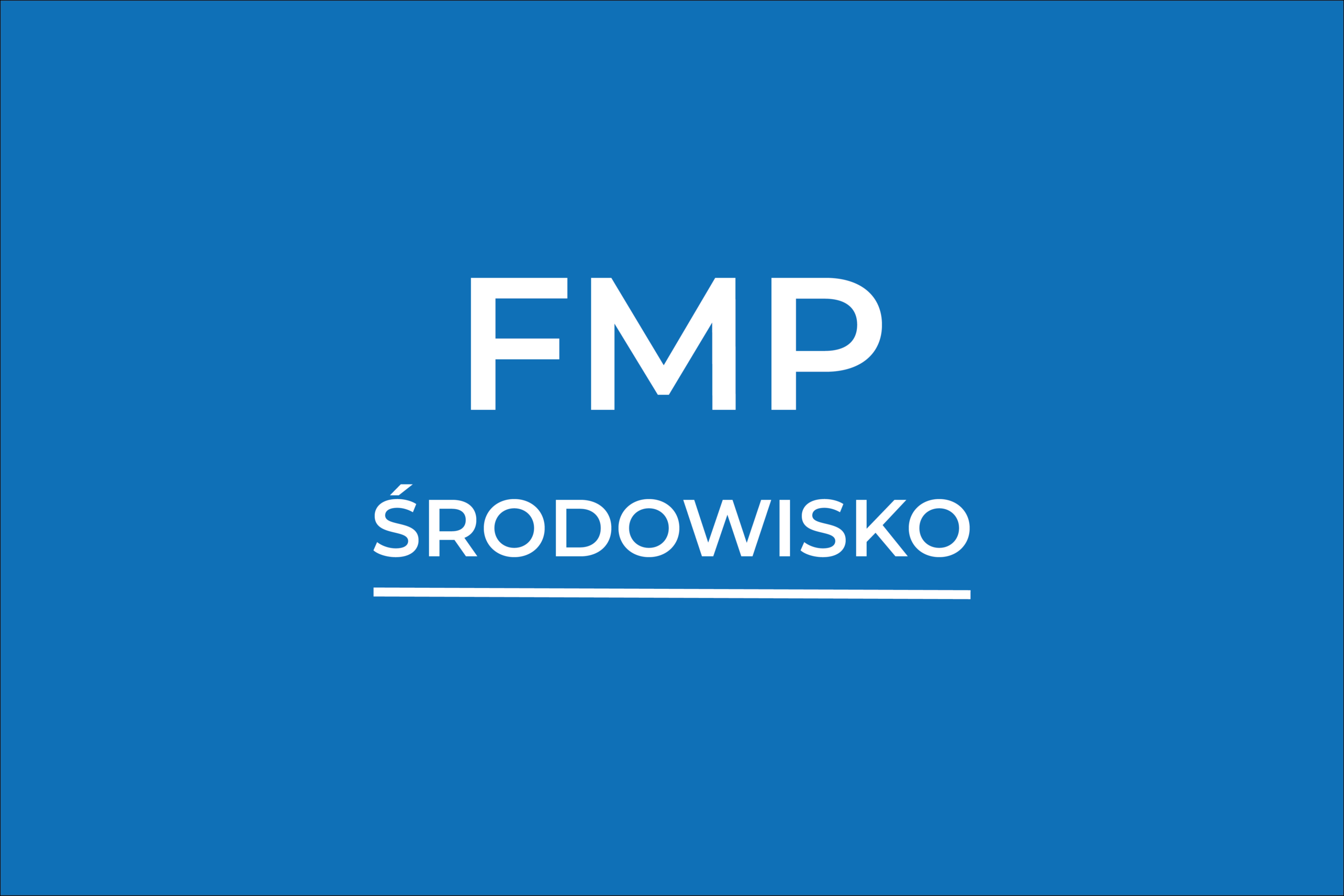 Konsultacje online dla wnioskodawców FMP ŚRODOWISKO