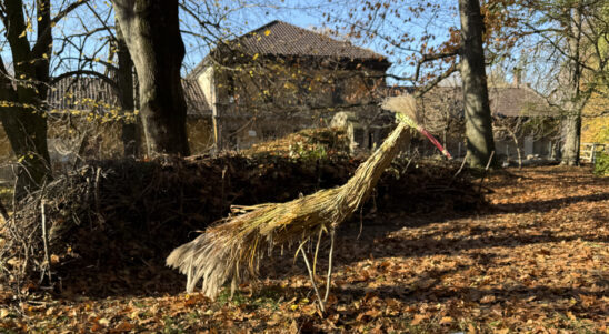 Our Backyard, Episode 11: ‘ART&EKO – A Space for Nature, A Space for Us’