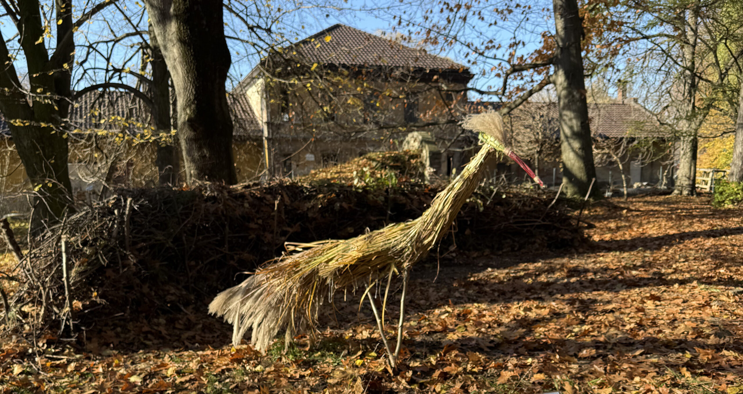 Our Backyard, Episode 11: ‘ART&EKO – A Space for Nature, A Space for Us’