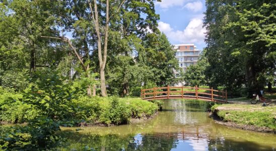 Green spaces of cross-border cooperation