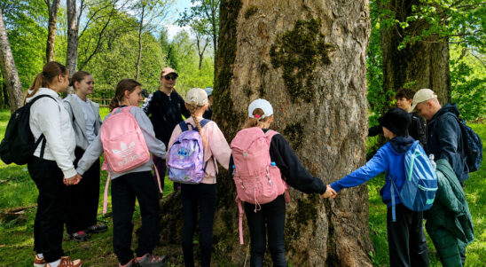 How PL-UA projects teach environmental responsibility